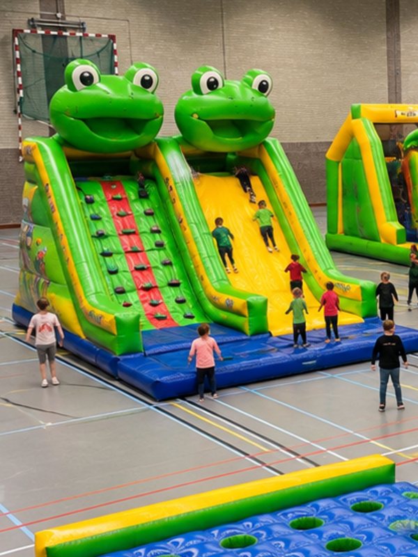Kinderen op de kikkerglijbanen